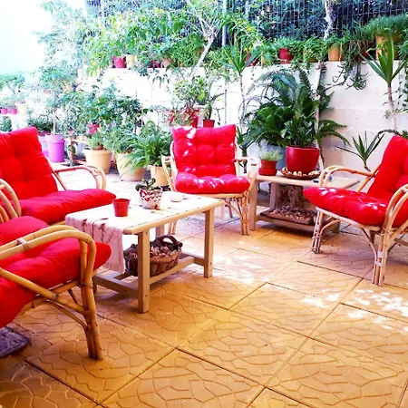 Zante Dahlia Ξενοδοχείο Λαγανάς