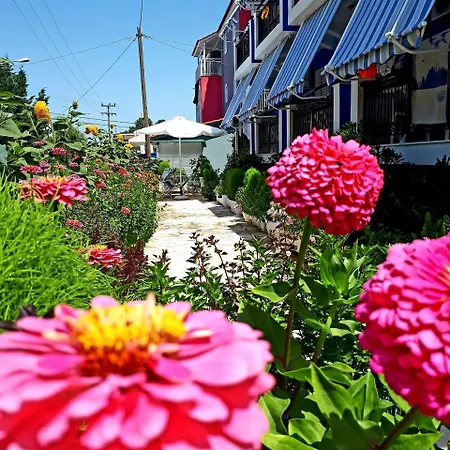 Zante Dahlia 3* Λαγανάς