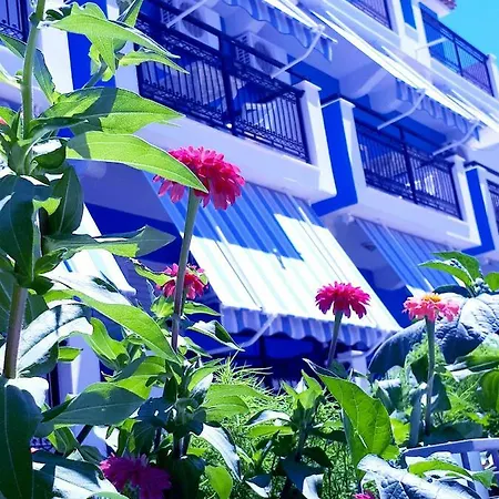 Zante Dahlia Ξενοδοχείο 3*